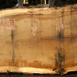 Goby Walnut Products Oregon White Oak Slab 091918-07 Green Slabs