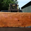 Goby Walnut Products Green Slabs Redwood Slab 053018-04