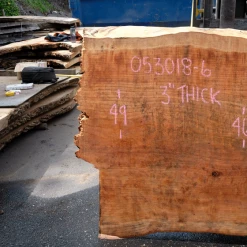 Goby Walnut Products Green Slabs Redwood Slab 053018-06